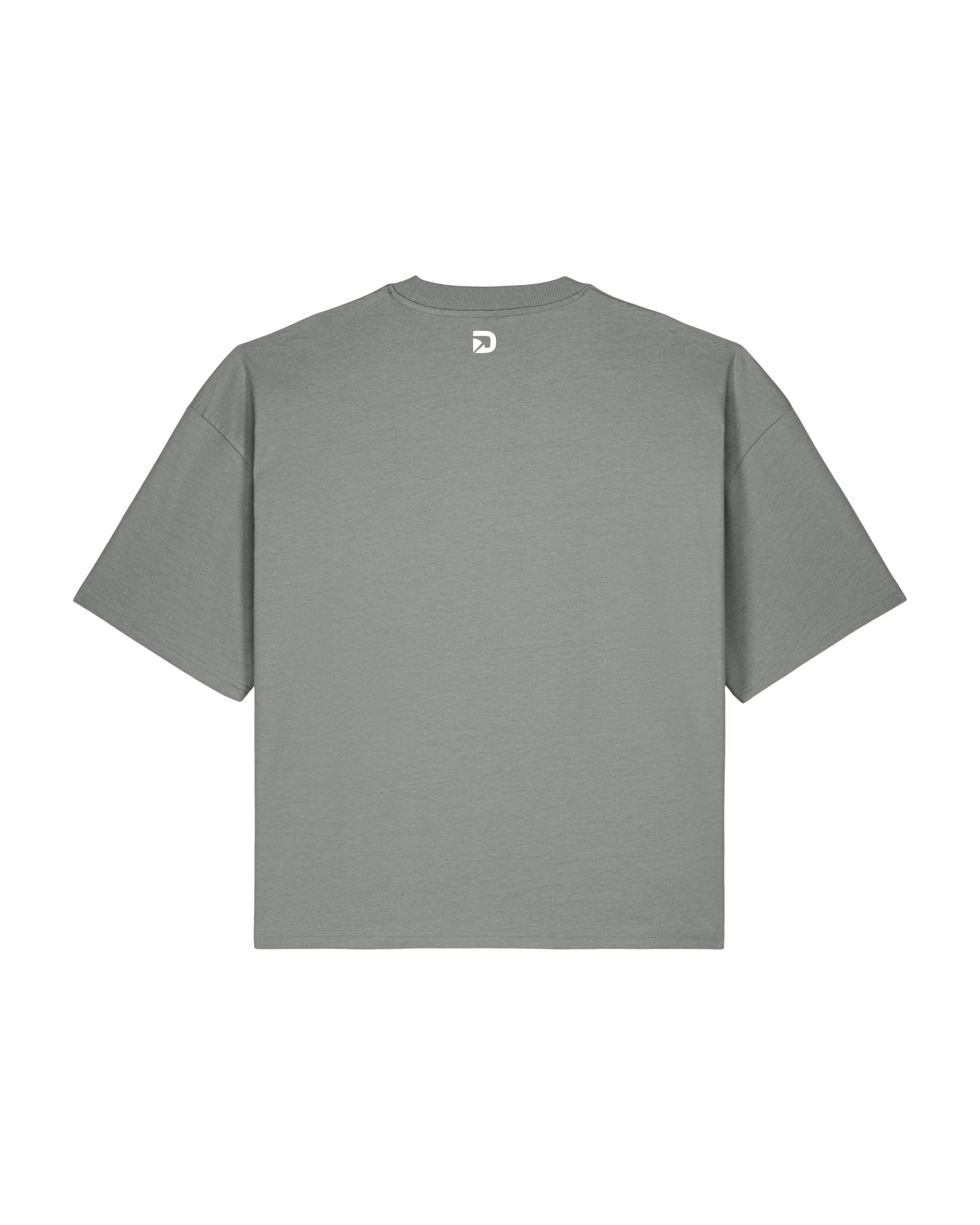 DISTRICT21 Hypster T-Shirt - Gray