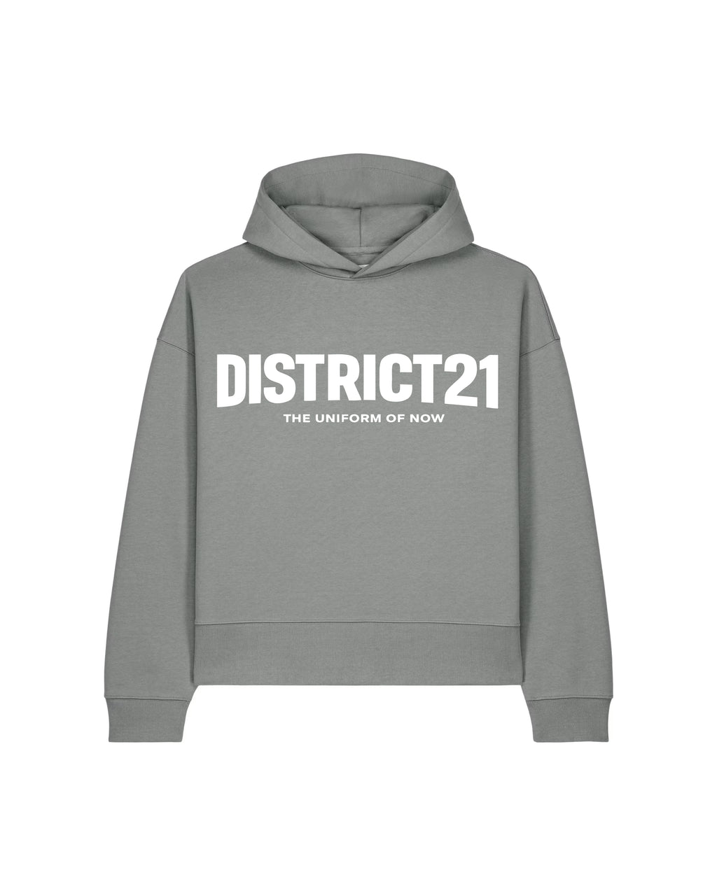 DISTRICT21 Voicer Hoodie - Gray